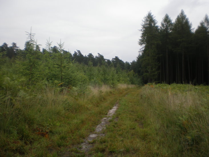 mt st guibert 030.jpg